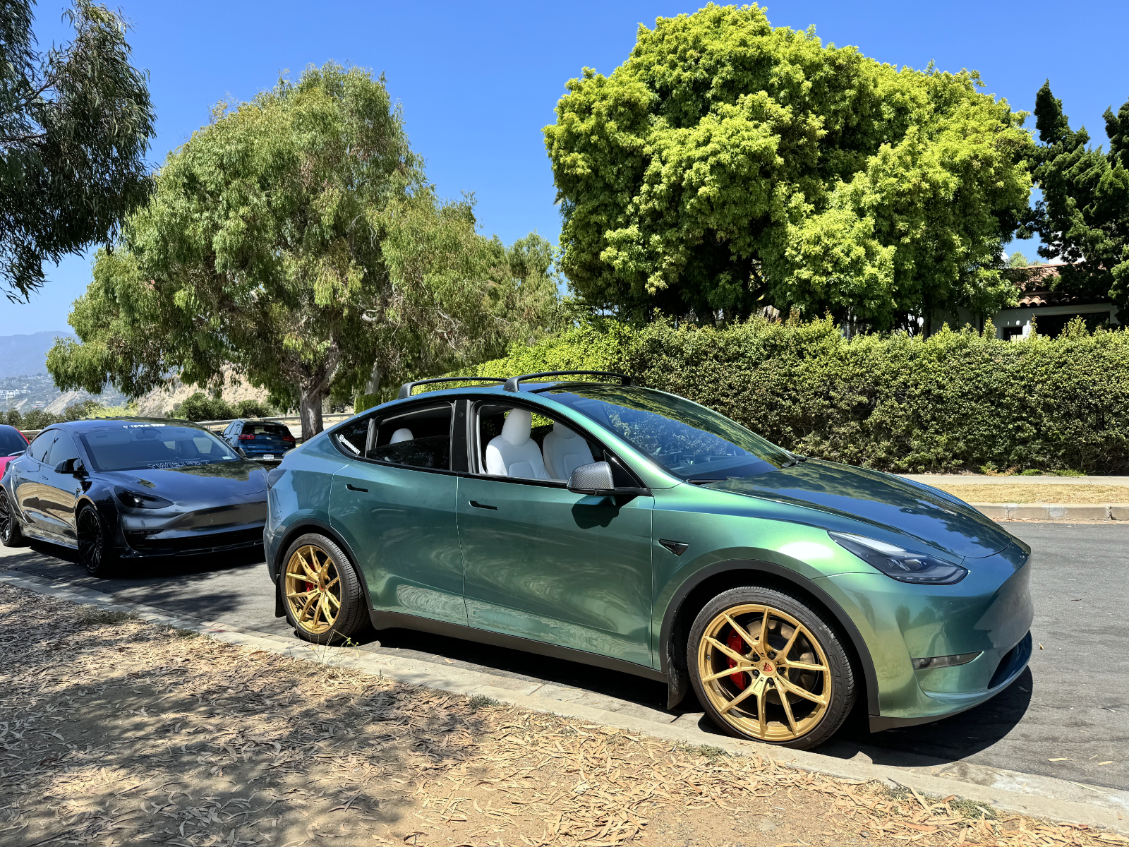 Model Y with Tesla roof rack